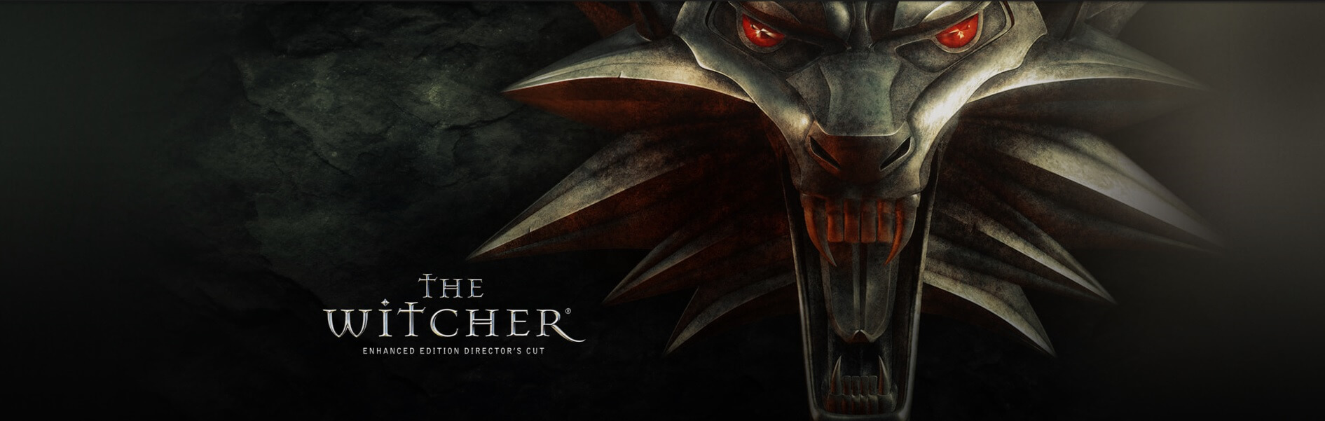 Witcher enhanced edition в стиме фото 98